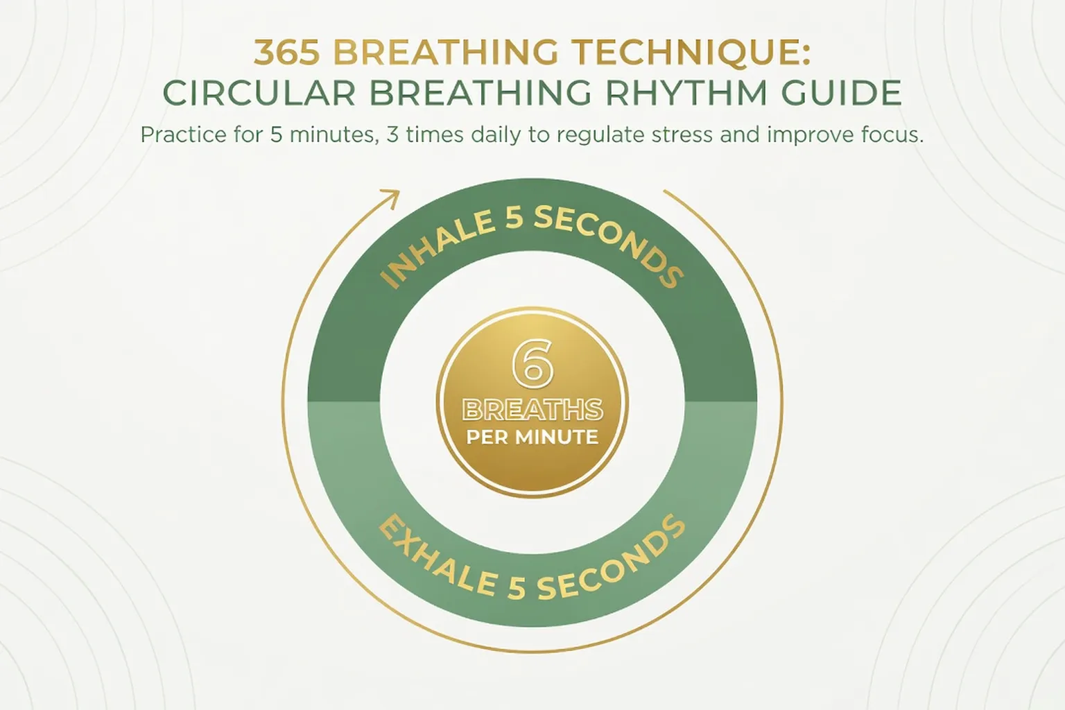 Technique de respiration 365 : schéma du cycle respiratoire avec 6 respirations par minute, inspiration 5 secondes, expiration 5 secondes, palette verte